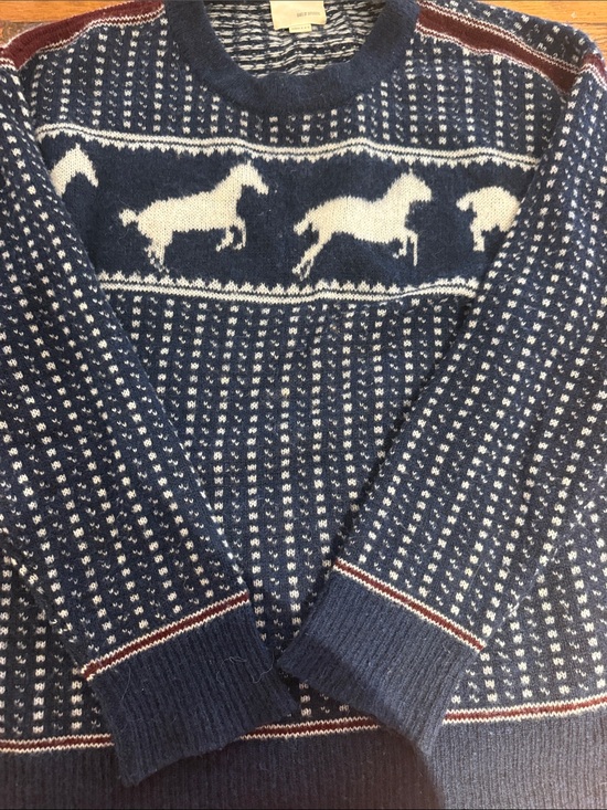 Band Of Outsiders Sweaters - Band Of Outsiders Navy and White Horse Crewneck Sweater
